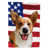 Cardigan Welsh Corgi sélectionné