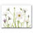 " Cape Daisies "-29675104