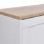 12 Pair Shoe Storage Cabinet
