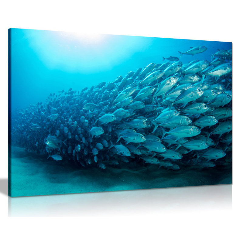School Of Fish Ocean - Wrapped Canvas Print, 20cm H x 31cm W