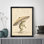 Reproduction d'art encadrée pour décoration d'intérieur moderne grenouille tenant un parapluie pluie