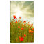 Floral, coquelicot rouge, toile d'art sur fond - Coquelicot-1865067105-1824645927