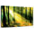 Kerrick Forest Sunshine Beauty-108974774