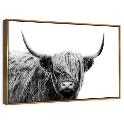 BW Highland Cow