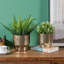 Handmade Pot Planter-1770618498