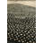 Moroccan Rugs One-of-a-Kind Rectangle 10'9" X 13'5" New Age Wool Area Rug Black