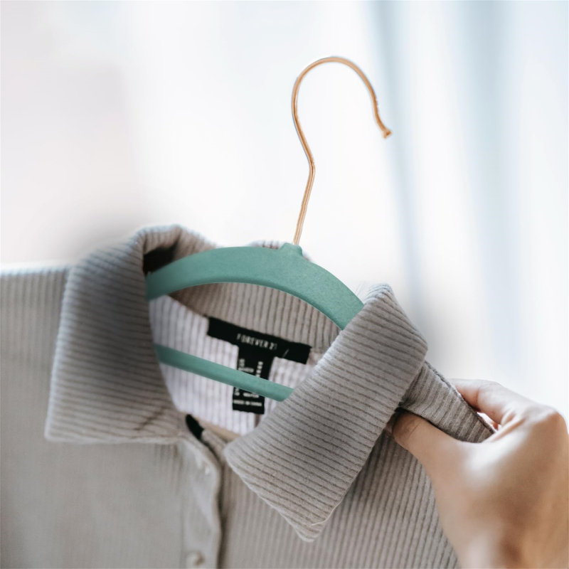 Balbuena Velvet Standard Hanger, Green