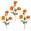 33 po Wild Poppy -1756936896