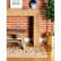 Pioneer Indoor Rug