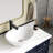 Belleze 15.748'' Ceramic Oval Bathroom Sink