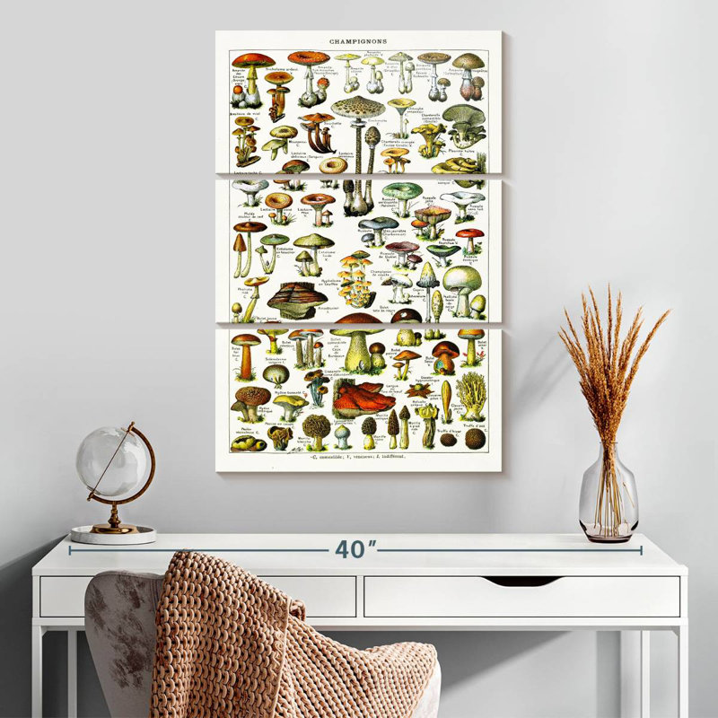 Yarlin Mushroom Varieties, 32" H x 20" W