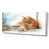 Toile tendue