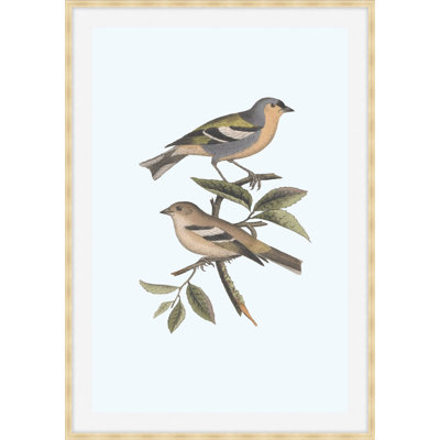 Nesting Navigators Blue 3 Print