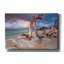 «Driftwood Sunset», impression sur toile tendue-380276011