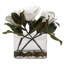 Centre de table magnolia dans un vase