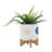 S/2 5/8" FUNKY PLANTER W/ STAND, WHITE