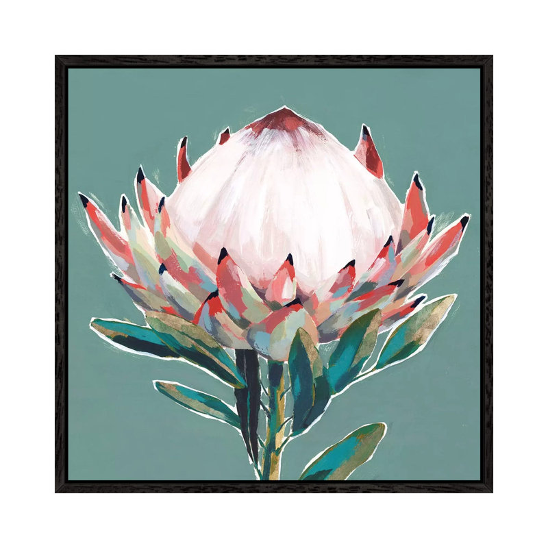 Blooming King Protea by Isabelle Z - Painting on Canvas, 66.04 cm H x 66.04 cm W, Black Framed