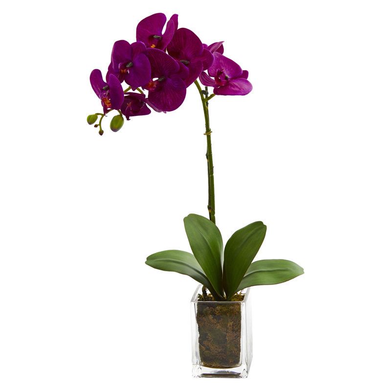 24-Inch Purple Orchid Phalaenopsis Artificial Arrangement in Clear Vase
