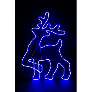LED Indoor / Outdoor Rope Light