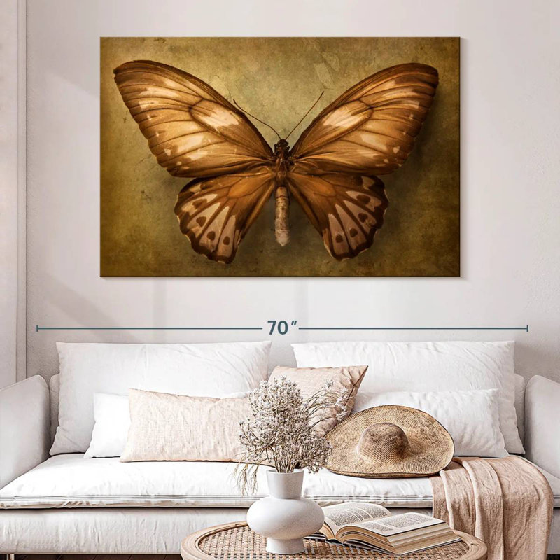 Brampt Vintage Butterfly, 34" H x 51" W