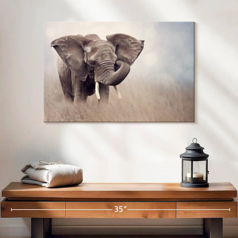 Jeune éléphant de savane Brampt