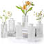 Derick Glass Table Vase-1577926661