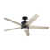 Keohane 56'' Ceiling Fan with LED Lights