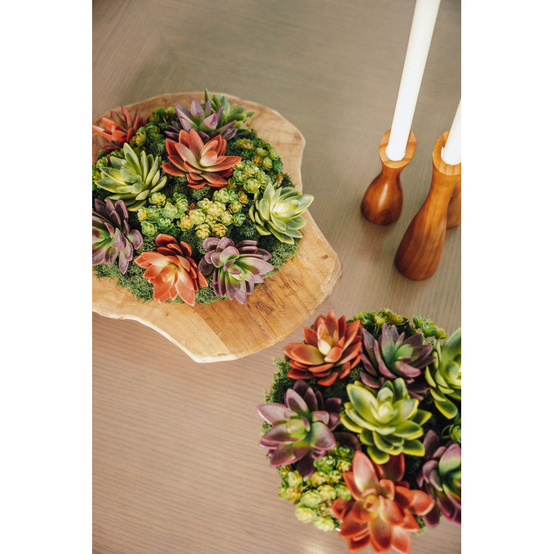 Petra Succulent Wooden Pedestal Arrangement