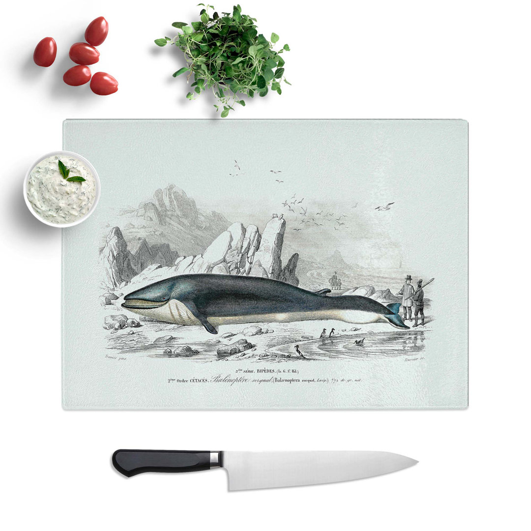 Glass Hunted Whale by Charles D' Orbigny Chopping Board