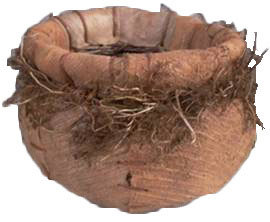 Pot à fleurs en bois cocotistis/sauvage Butera