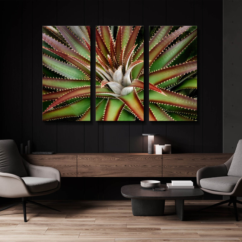 «Succulent VI» par Dennis Frates, art mural triptyque, 36 po x 24 po, 60 po x 40 po