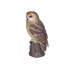  Hibou brun sur une branche | Statue d'oiseau décorative fabriquée à la main pour la maison et le jardin | Polyrésine de qualité supérieure, décor intérieur / extérieur résistant aux intempéries