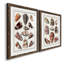 Toile encadrée avec coquillages collectés - prêt à accrocher-533082423-533046679-533082427