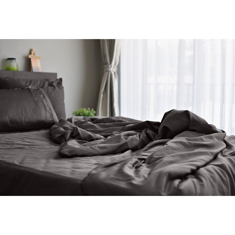6 Piece Rayon Guest Room Sheet Set Case Pack, Twin Sheet Set + 1 Fitted Sheet + 2 Pillowcases, Black