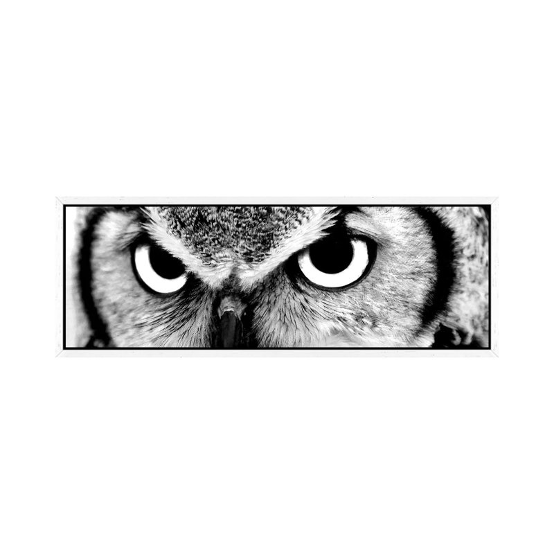 Owl Eyes 1 Piece Floater Frame Panoramic Wall Art on Canvas, 30.48 cm H x 91.44 cm W, White