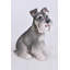 Statue Schnauzer-23542755