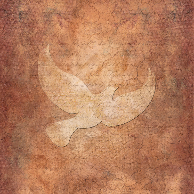 Dove Mat - Wrapped Canvas Print, 122cm H x 122cm W x 3.8cm D