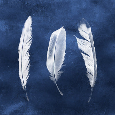 Plumes de cyanorphe II
