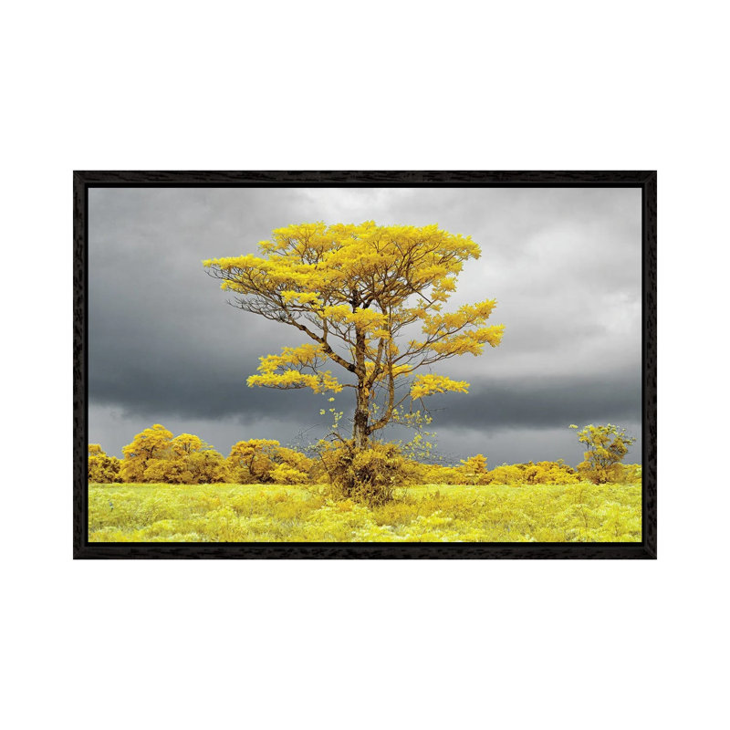 Lonely Tree On The Field #2 by Glauco Meneghelli - Floater Frame Gallery-Wrapped Canvas Giclée on Canvas