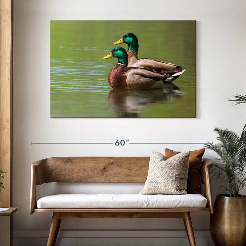 Couple de canards colverts Brampt, H 32 po x l 48 po