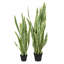 Fausse plante dracéna en pot Rummond-49421113-49421112
