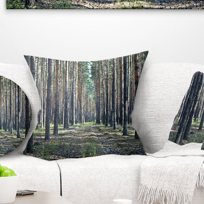 Forest Forest in Thick Woods - Coussin imprimé forêt