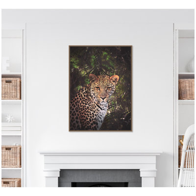 Moody Leopard In The Rainforest Color by Simon Te of Tai Prints Framed Canvas Wall Art Print