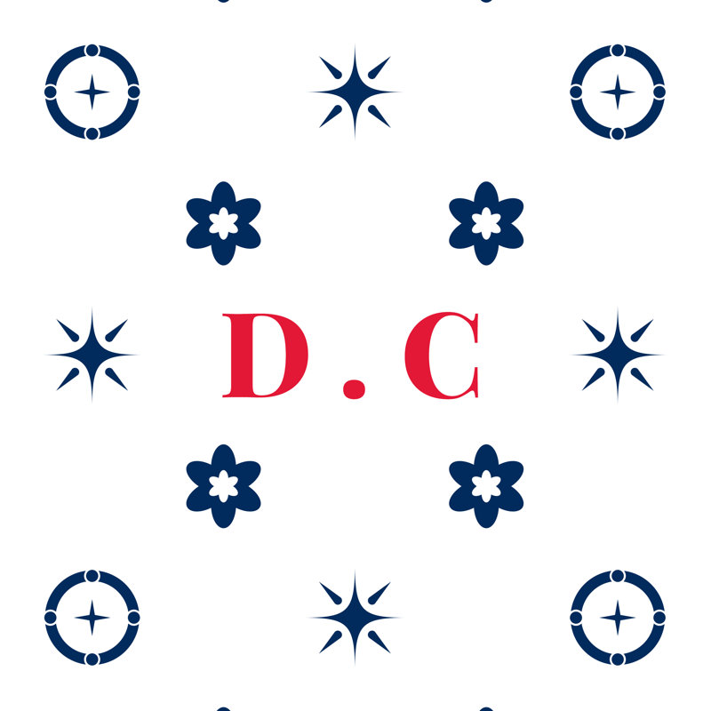 Coussin en coton DC