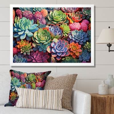 Plantes succulentes colorées, abondance de plantes grasses