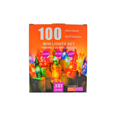 100 Light String Lights