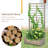 Dharmesh Wood Planter Box with Trellis