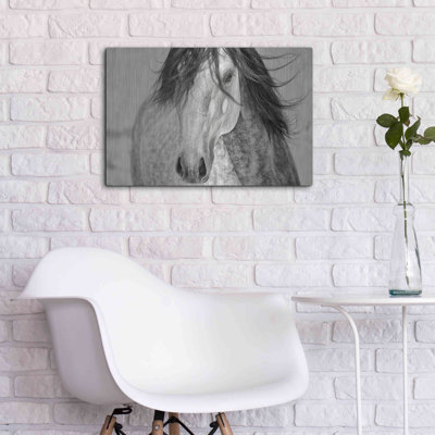 «My Beautiful Mane» par Lisa Dearing