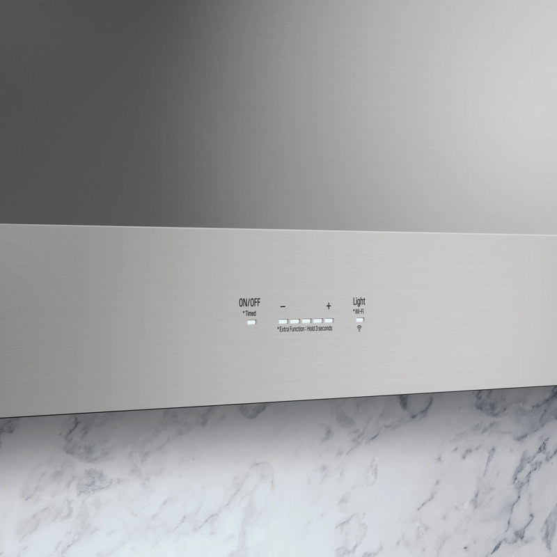 48" Professional Vent Hood