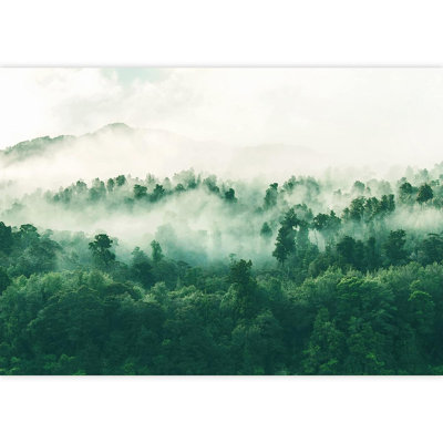 Murale brume et brouillard au-dessus d'une forêt de montagne